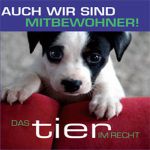 Foto: TIR
