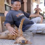 Hundefreund Pak Ineng  - © WSPA