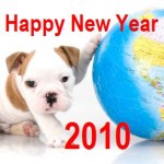 Happy New Year 2010 - Foto: fotolia