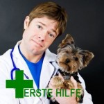 ONLINE DOC: Erste Hilfe bei Tieren