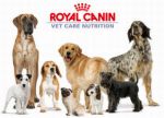 Mit freundlicher Unterstützung von ROYAL CANIN