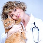 Online Doc mit Katze / © Lemonade - fotolia.com