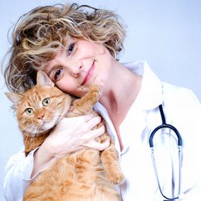 Online Doc mit Katze / © Lemonade - fotolia.com