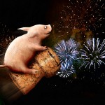 Prosit Neujahr, Silvester, Feuerwerk, Glücksschwein - © Barbara Eckholdt / fotolia.com