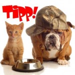 Der gute Tipp für Hund & Katze! / © Willee Cole - iStockphoto