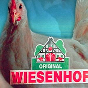 Qualität von Wiesenhof - Schein und Sein