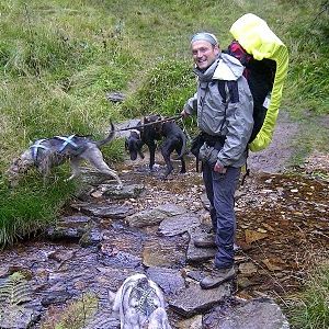 Dogtrekking - Hundesport für NaturliebhaberInnen